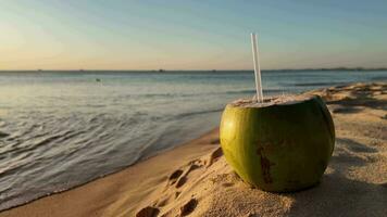 tropicale Noce di cocco tramonto spiaggia rinfresco video