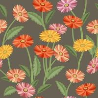 Gerberas. Seamless pattern of flowers and leaves of Gerbera. Vector. vector