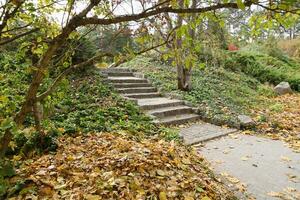 Beautiful Nature Autumn landscape. Scenery view on autumn city park with golden yellow foliage in cloudy day photo