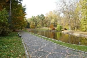 hermosa naturaleza otoño paisaje con lago. paisaje ver en otoño ciudad parque con dorado amarillo follaje en nublado día foto