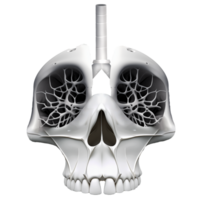 ai generato umano polmoni nel cranio forma, 3d design. adatto per Salute e no fumo png