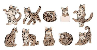 conjunto de en peligro de extinción leopardo gato, un endémico especies en Asia - animal personaje diseño con plano colores en varios posa, aislado en blanco antecedentes. vector