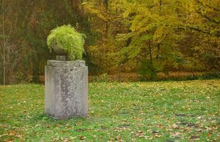 Beautiful Nature Autumn landscape. Scenery view on autumn city park with golden yellow foliage in cloudy day photo