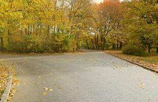 hermosa naturaleza otoño paisaje. paisaje ver en otoño ciudad parque con dorado amarillo follaje en nublado día foto