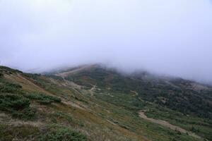 Morning view from the Dragobrat mountain peaks in Carpathian mountains, Ukraine. Cloudy and foggy landscape around Drahobrat Peaks photo