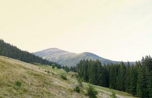 montar hoverla colgando pico de el ucranio montes de Cárpatos en contra el antecedentes de el cielo foto