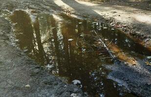 Muddy tracks with puddles on wet muddy surface in forest path photo