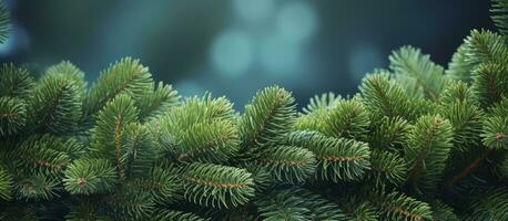 AI generated Christmas tree branches on a natural background. AI Generated photo