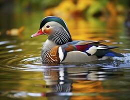 ai generado de cerca de mandarín Pato nadando en lago. generativo ai. foto