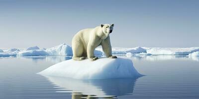 AI generated Polar bear on ice floe. Melting iceberg and global warming. AI Generated photo