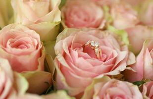 Gold diamond engagement ring in beautiful pink rose flower among big amount of roses in big bouquet close up photo