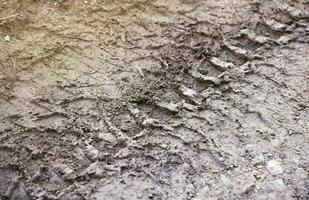 Wheel track on mud. Traces of a tractor or heavy off-road car on brown mud in wet meadow photo