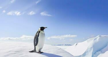 ai generado pingüino en pie en Antártida mirando dentro el azul cielo. ai generado foto