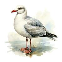 AI generated Watercolor seagull isolated on white background. AI Generated photo