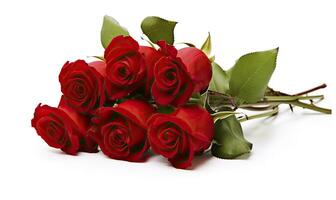 AI generated Red rose bouquet isolated on white background. AI Generated photo