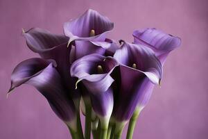 ai generado ramo de flores de púrpura calla lirios en contra púrpura fondo.ai generado foto