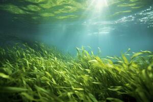 ai generado submarino ver de un grupo de fondo del mar con verde pastos marinos. ai generado foto