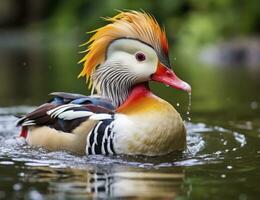 ai generado de cerca de mandarín Pato nadando en lago. generativo ai. foto