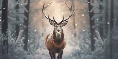 ai generado noble ciervo masculino en el invierno nieve bosque. artístico invierno Navidad paisaje. ai generado foto