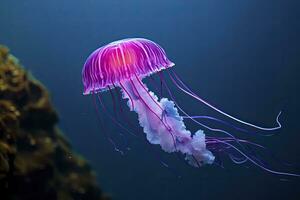 AI generated Mauve stinger purple jellyfish. AI Generated. photo