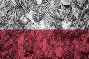 Polonia bandera representado en muchos hojas de monstera palma arboles de moda de moda fondo foto