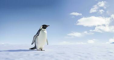 ai generado pingüino en pie en Antártida mirando dentro el azul cielo. ai generado foto