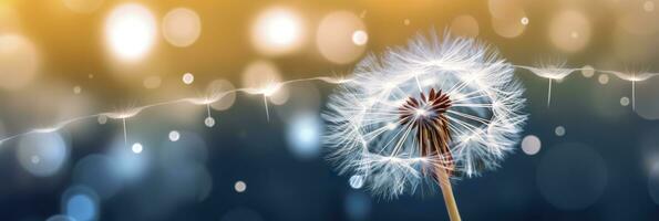 AI generated Abstract blurred nature background dandelion seeds parachute. Bokeh pattern. Generative AI photo