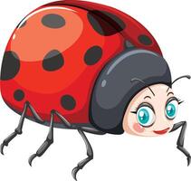 A ladybug insect,A big ladybug with brown body looks cute vector