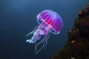 AI generated Mauve stinger purple jellyfish. AI Generated. photo