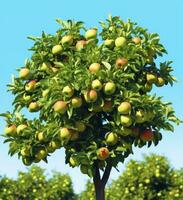 ai generado un hermosa verde manzana árbol. ai generado foto