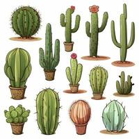 ai generado el cactus conjunto en blanco antecedentes. clipart ilustraciones. ai generado foto