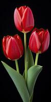 ai generado rojo tulipanes aislado en negro antecedentes. ai generado foto