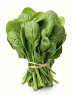 AI generated Bunch of spinach isolated on white background. AI Generated photo