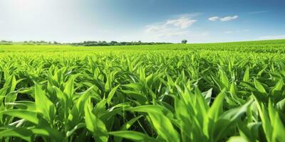 ai generado campo de vibrante verde biocombustible cultivos. ai generado. foto