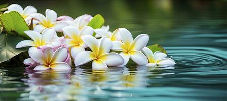 ai generado plumeria flores en verde hoja flotante en agua. un pacífico y sereno escena con un toque de naturaleza y belleza. ai generado foto