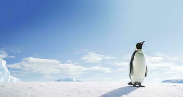 AI generated Penguin standing in Antarctica looking into the blue sky. AI Generated photo