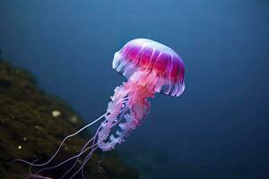 AI generated Mauve stinger purple jellyfish. AI Generated. photo