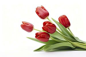 AI generated Red tulips isolated on white background. AI Generated photo