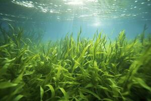 AI generated Underwater view of a group of seabed with green seagrass. AI Generated photo