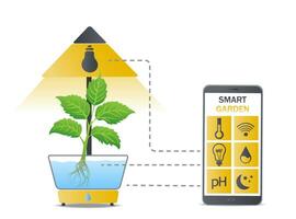 Portable hydroponic aeroponic system for eco-friendly growing of green lettuce, vegetables and herbs. With automatic smart watering system and lighting. Remote control from smartphone. Organic garden vector