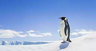 ai generado pingüino en pie en Antártida mirando dentro el azul cielo. ai generado foto