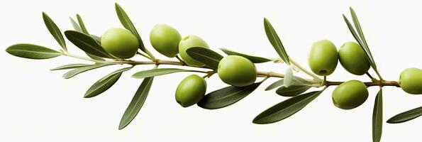 AI generated Olive tree branch, green olives and leaves on white background. AI Generated. photo