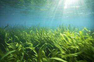 AI generated Underwater view of a group of seabed with green seagrass. AI Generated photo