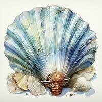 AI generated Watercolor Seashell clipart on white background. AI Generated photo