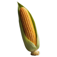 AI generated Corn isolated on transparent background png