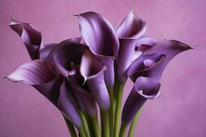 ai generado ramo de flores de púrpura calla lirios en contra púrpura fondo.ai generado foto