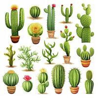 ai generado el cactus conjunto en blanco antecedentes. clipart ilustraciones. ai generado foto