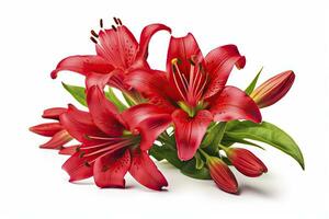 AI generated Red Lilies isolated on white background. AI Generated photo