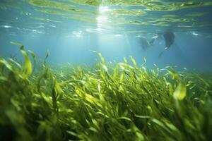 AI generated Underwater view of a group of seabed with green seagrass. AI Generated photo