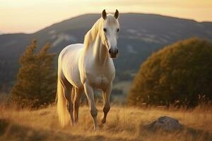 ai generado blanco caballo o yegua en el montañas a puesta de sol. ai generado foto